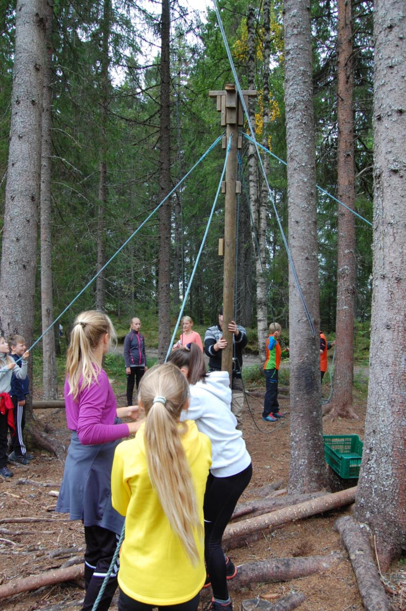 Camp Sjusjoen Ξενοδοχείο Mesnali Εξωτερικό φωτογραφία